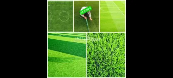 عشب ملاعب وحدائق وشاليهات - 4
