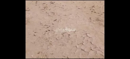 عرطة العرطات أرض زراعيه متعدده الاستخدام - 2