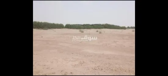 عرطة العرطات أرض زراعيه متعدده الاستخدام - 3