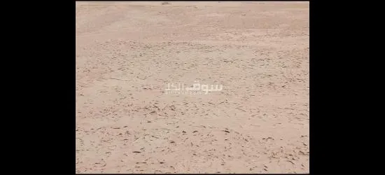 عرطة العرطات أرض زراعيه متعدده الاستخدام - 5