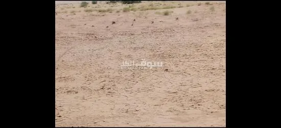 عرطة العرطات أرض زراعيه متعدده الاستخدام - 6