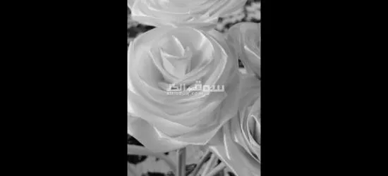 عرررض خاااص باقات ورد للمناسبات - 7