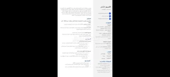 تصميم سيرة ذاتية احترافية - 3